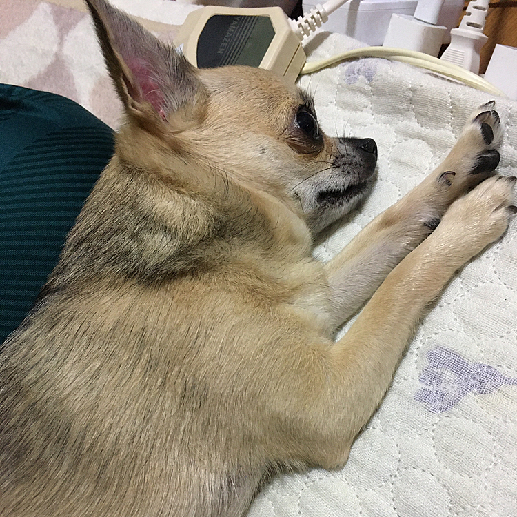疲れて寝ちゃいました😅💦
