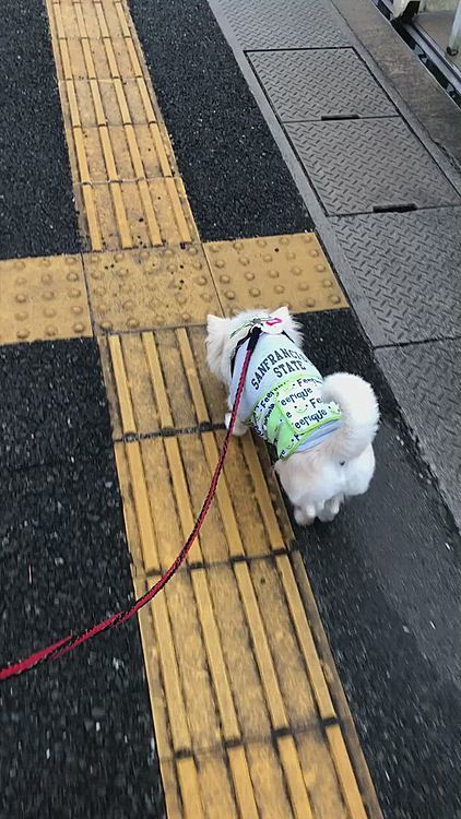 美しいフォームもバッチリです👍🤣