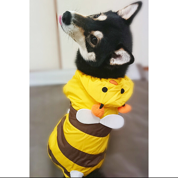 Bee 😝
おニューのハチさんレインコート🐝🟡