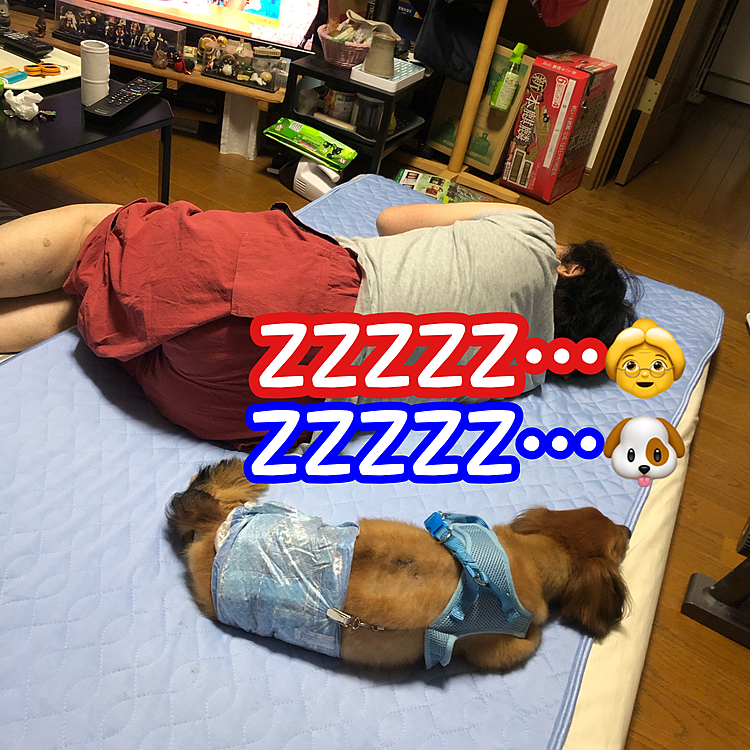 コラボ(笑)