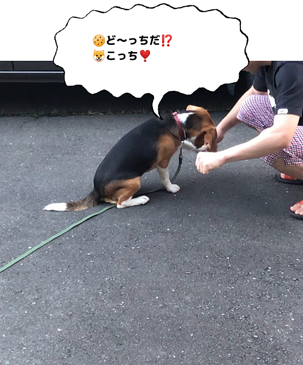 残念😅💦左でした❗️