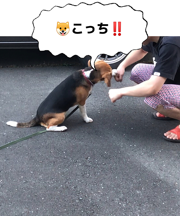 当たり〜👍💖
🍪ゲット🐶💕🎶