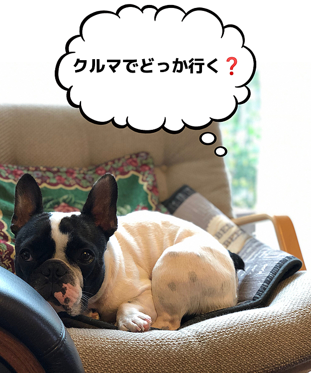 退屈そうにしてます😅