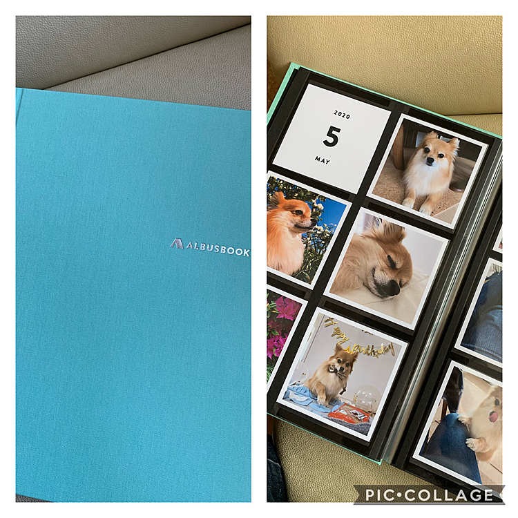 ALBUSのアルバムが届きました😊
綺麗でしっかりした作りで、良かったです✨