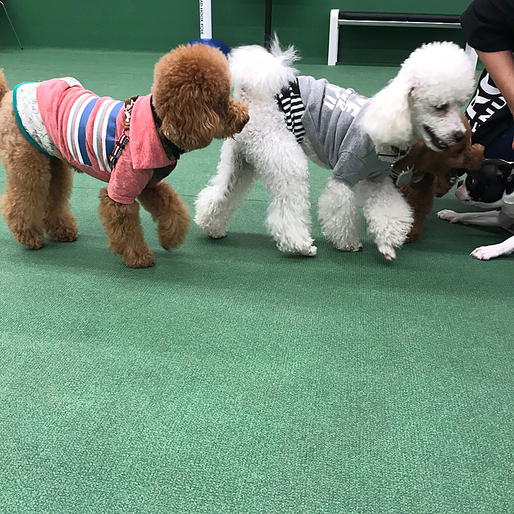 ハピ男ママ🎶の投稿