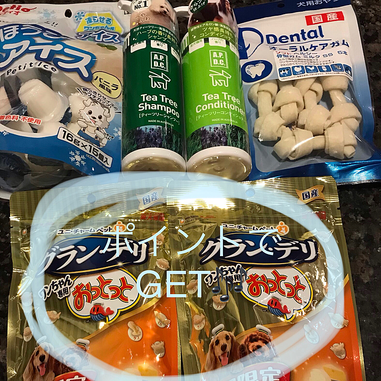昨日は終日降ったり止んだりの天気でお散歩は行けませんでした☔️

と言う事でかな〜り久々に室内ドッグランに行きました🐾
以前仲良くしていた幼馴染みの🐶達は夕方によく来ていたので朝型の我が家にしては珍しく17時に出発🚗💨
残念ながら会えませんでした😭
でももうひとつの目的である今月末まで有効のポイント交換で500円分のオヤツもGET出来ました🎶