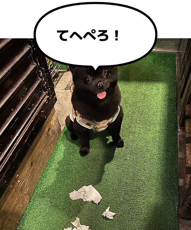 楽しかったか？すごい笑🤣