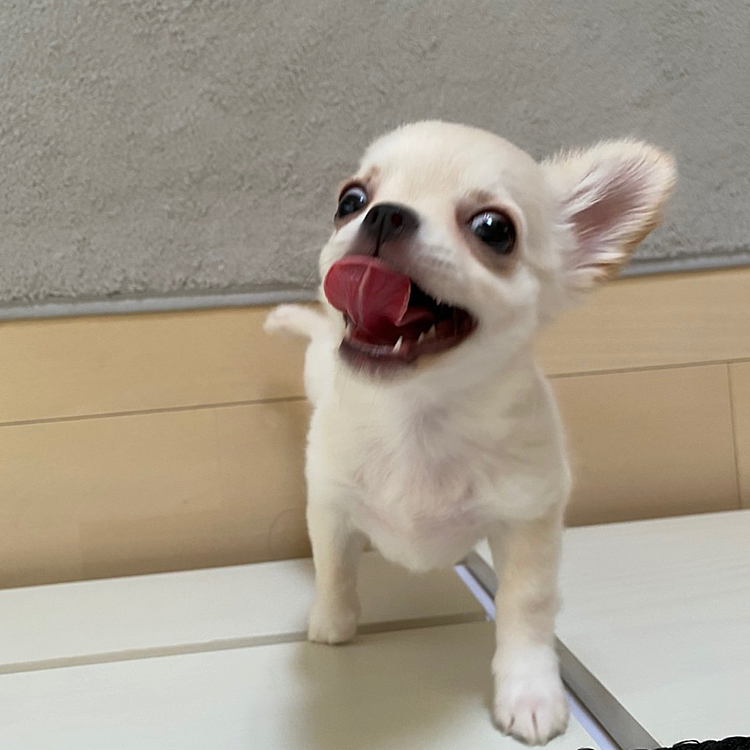 変顔みるちゃん🤪💕
