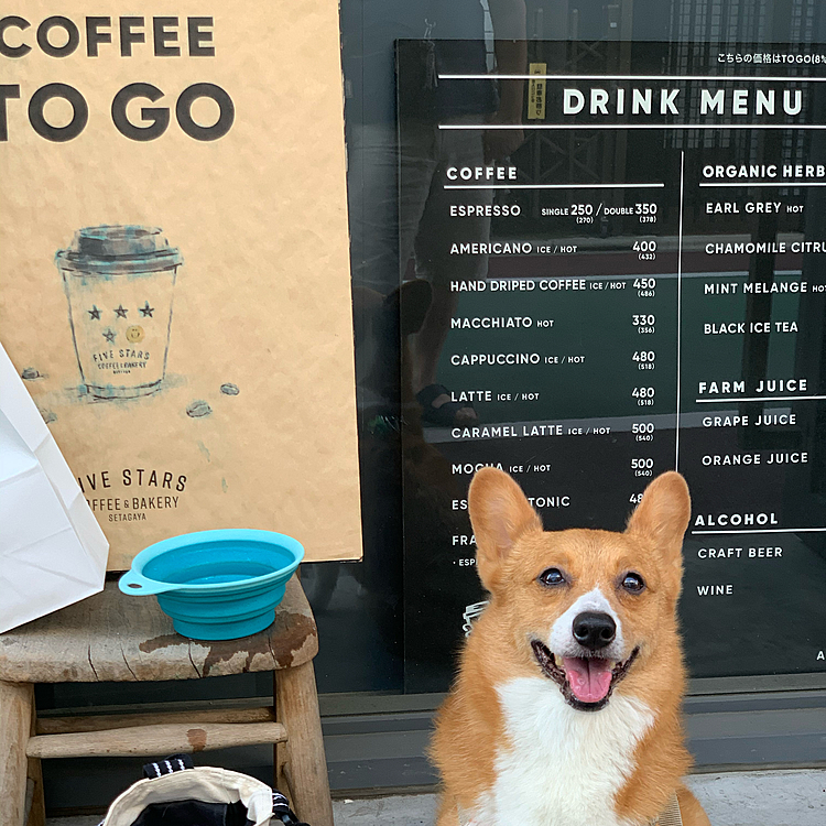 梅雨の晴れ間にマーチも一緒に、わりと近所にできたベーカリーカフェに行ってみました🍞☕️
小さいお店ですが、テラス席もあってコーヒーもサードウェーブ系で美味しいし、パンも美味しい💓あいにくテラス席がいっぱいだったので、お持ち帰りしました☺️
朝のお散歩でご近所ワンコの蒼ちゃんママに話したら、その日に行ってました🤣