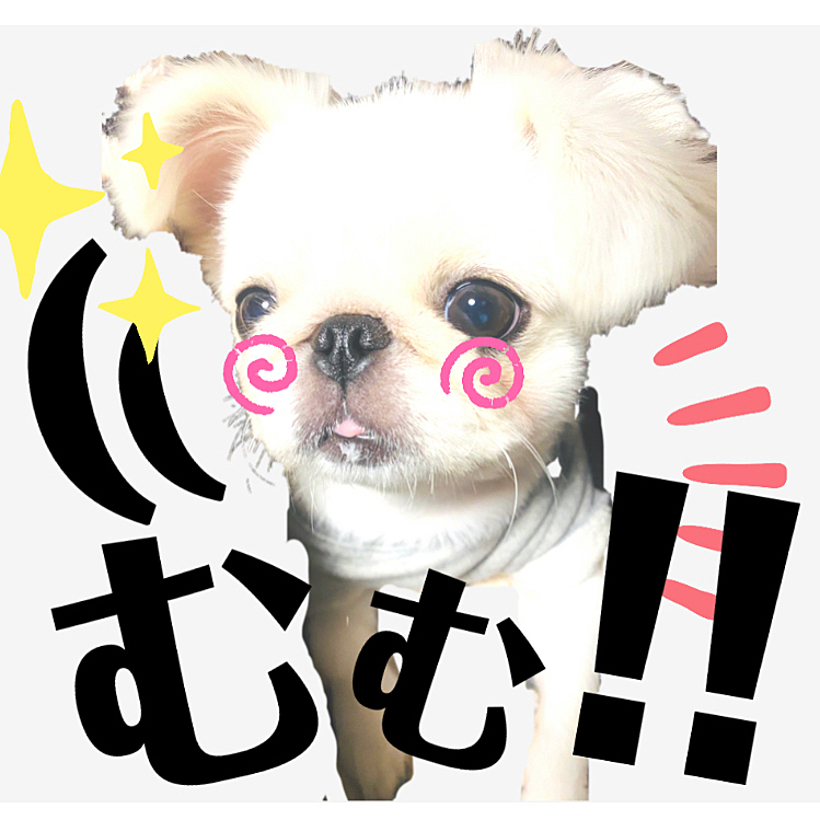 殿様🎀お気に入りの#LINEスタンプ
