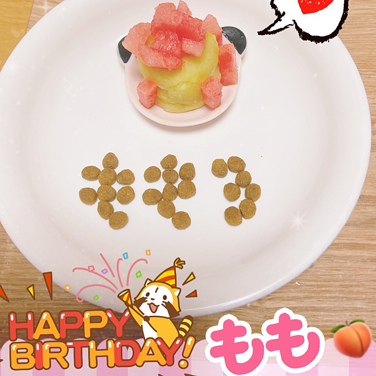 こんばんは🌙
本日、６月１７日は😉
ももの３歳の誕生日🎂🎉
もう３歳😳時がたつのは早いね✨
お腹が弱いので、手作りのケーキ🍰でお祝いです

いい子に育ってくれてありがとうね😊