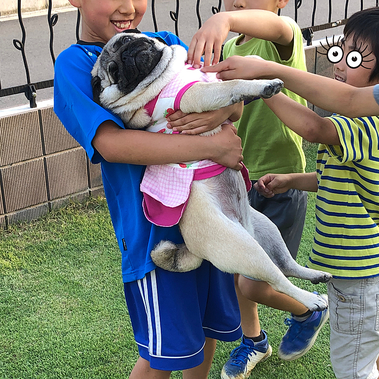 夕方は近所のお友達に遊んでもらいました🐶