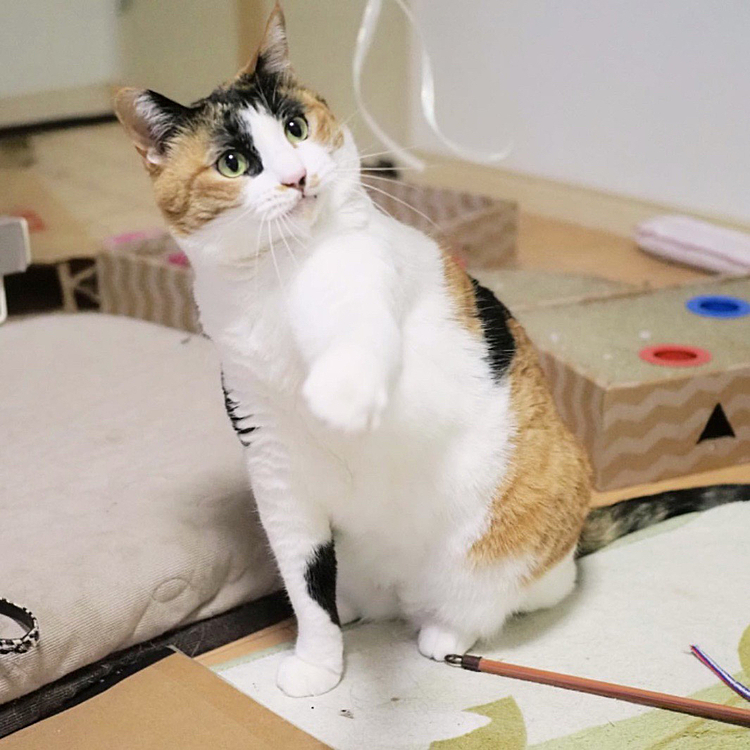 狙いを定めて