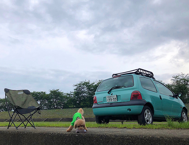 写真の構図、ほぼ変わらないです。
