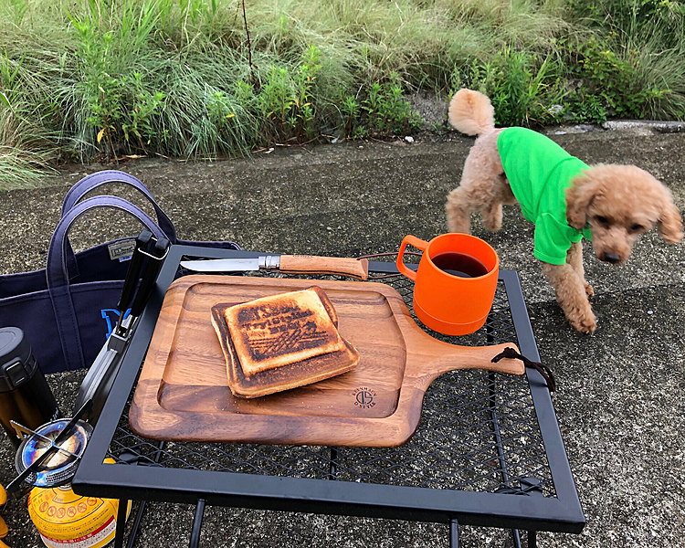 マルの食事が終わって、やっと飼主のホットサンド。
気に入ったら、同じ事ばかり😅

本日のメニューは、ベーコンピザ風ホットサンド。
油断して、チョイ焦げ😅　　でも、うまし。