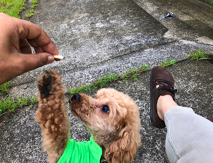 ホットサンドの端っこ、狙ってきます😃