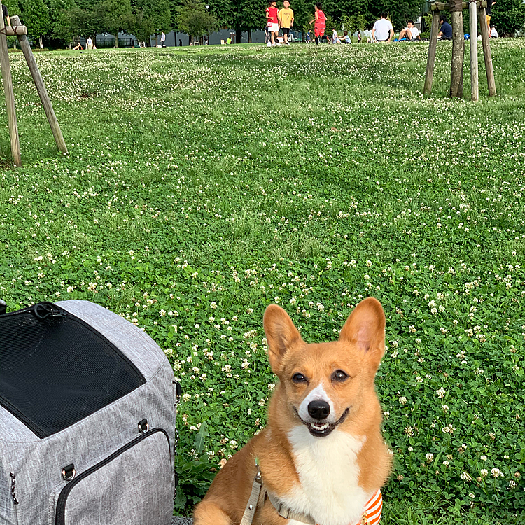 公園到着‼️外出制限も解除されてたくさんの人がいました☺️