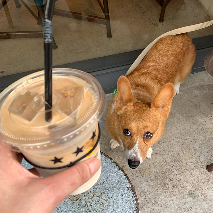 帰りに前回テラスでお休み出来なかったカフェに寄りました☕️リベンジ成功✌️

