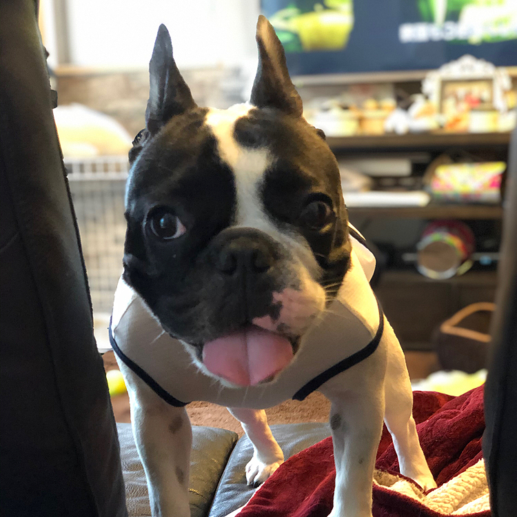 楽しかった❣️😁