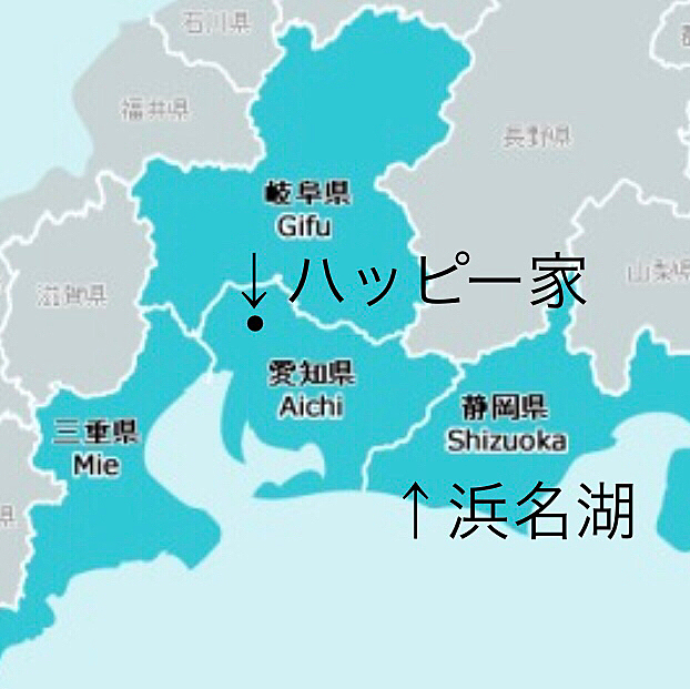 この週末は晴れ予報のハッピー地方です☀️

ハッピーの住む愛知県は岐阜県、三重県、静岡県、長野県と隣接していますが1番近いのは岐阜県で自然も豊かなのでよく行きます❣️
今日は静岡県浜松市の浜名湖近くにお出掛けしました🚗💨