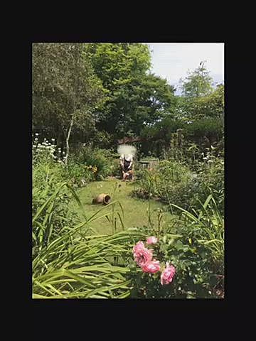 2004年に花博が開催された跡地みたいで、とにかく花がいっぱいの公園はとても良かったです🌸🌼🌹🥀