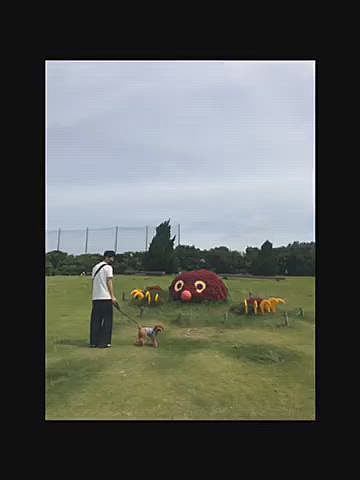 相変わらず写真係の私はハッピーの後方から写真を撮りまくっていますが、ハッピーが後ろを振り返ってくれるのが可愛くてまとめてみました💕