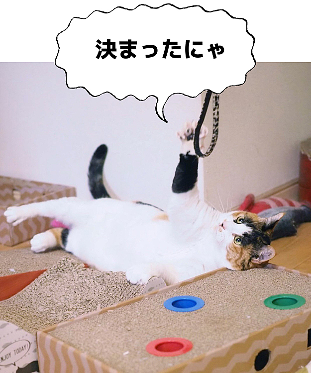 ゴロリンパンチ