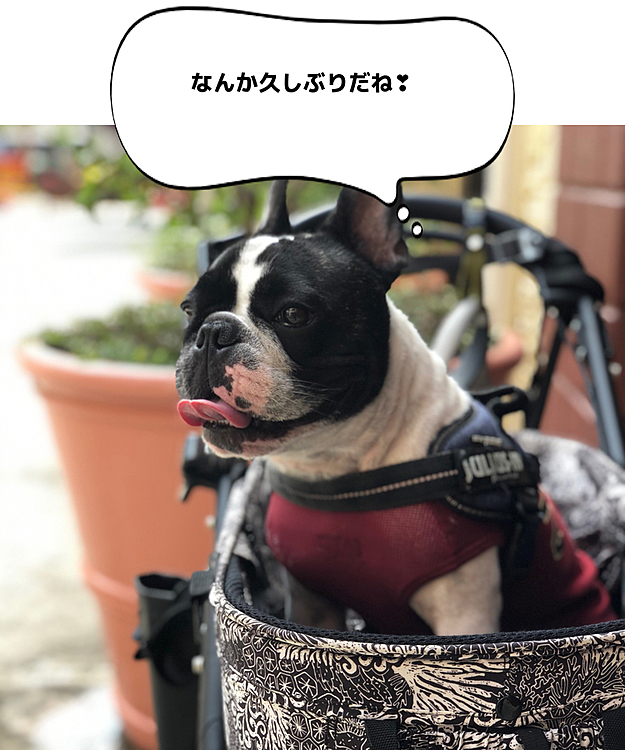 今日は午前中にWebでのミーティングだけの予定だったので、午後から久しぶりにアウトレットモールに行って来ました😁