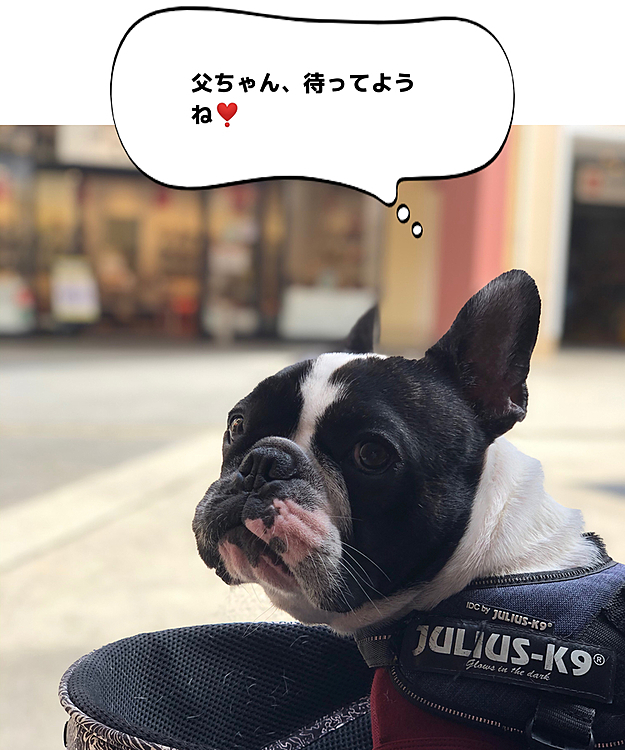 基本、ふたりで待ってることが多いまろとまろ父です😅
待ってる間に、可愛い😍もらって満更でもないまろでした😁