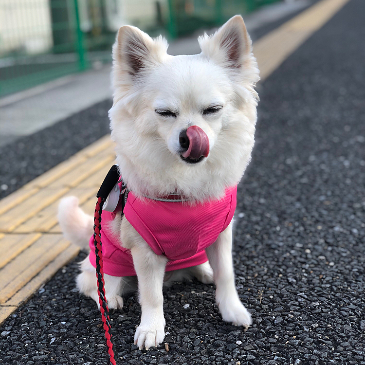 たまにはブサ顔もするけど😂
