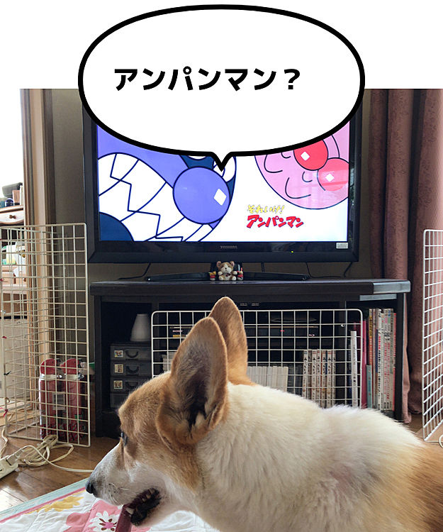 まある？😃
アンパンマンだよ😃