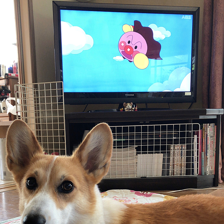 アンパンマン飛んでるよ🤣
あんぱんまあるは飛べないからね💦

