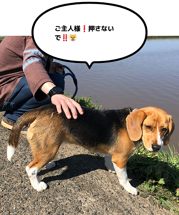 レイの投稿