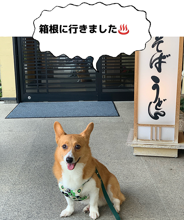おはようございます😃
緊急事態宣言の隙を狙って箱根に行きました♨️わたしの母も一緒です😊
また感染が増えてきてどうしようか悩みましたが、1月にホテルの予約をしていて、母も楽しみにしていたので思い切って行ってきました😷お昼に箱根に到着🚘まずは昨年も行ったお蕎麦屋さんでお昼ご飯😊マーチは冷たい石のところで待っていました❣️