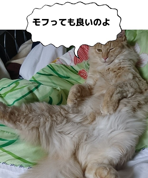 足パカーンでした(笑)