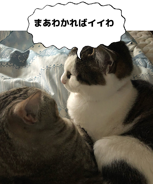諭して満足