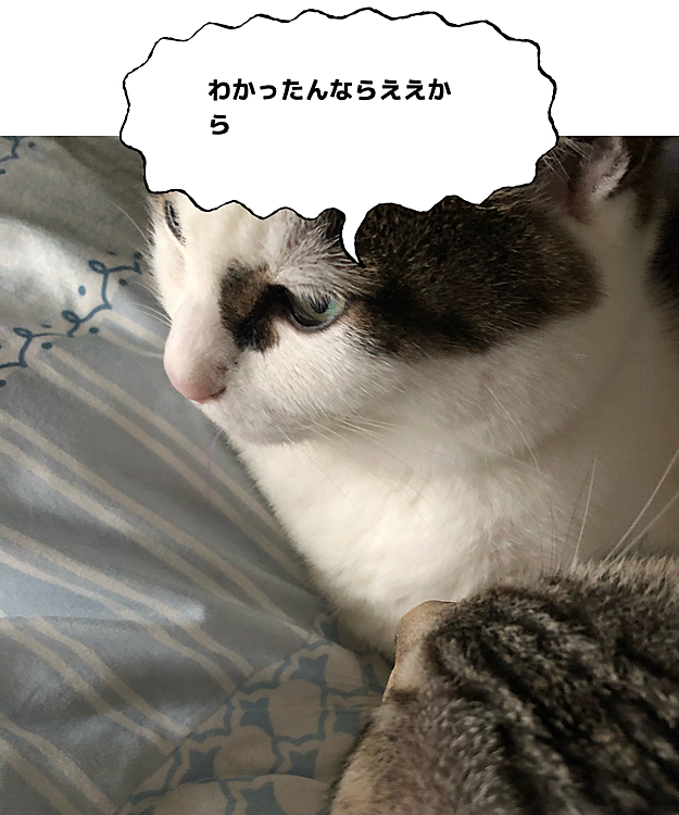 意味わからずガン見される
勝手に諭して放置