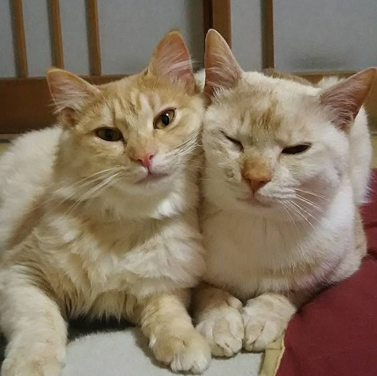 仲良しこよし(*´∀｀)
