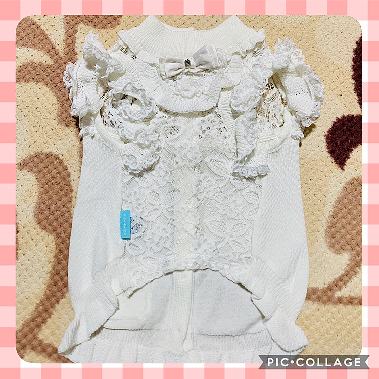 先日、インスタグラムでワンコ服のキャンペーンに応募したら当選しました😆
そのお洋服が今日届きましたよ😍
写真で見るよりも、うんと可愛いし手触りも良いし着心地も良さそうです☺️
マルプーのはなちゃんも当選して、この秋には
お揃いコーデでデートを予定してるんですよ☺️