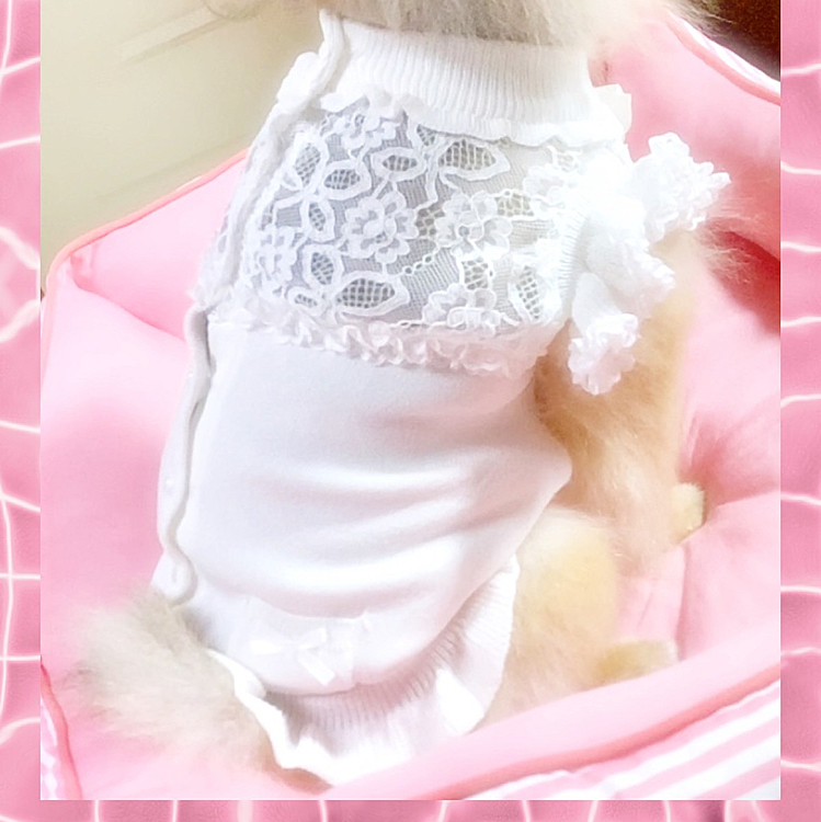 レースと、フリフリがとっても可愛いです💕