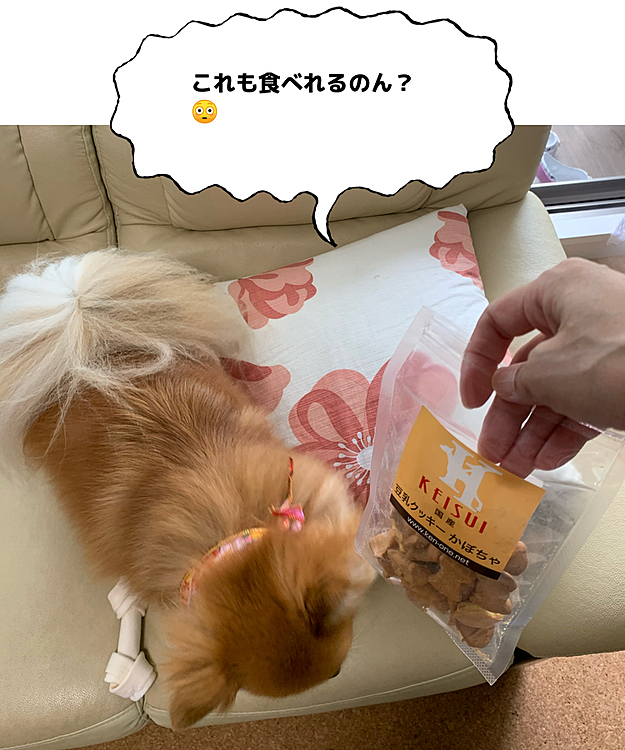 美味しいクッキーでした😆