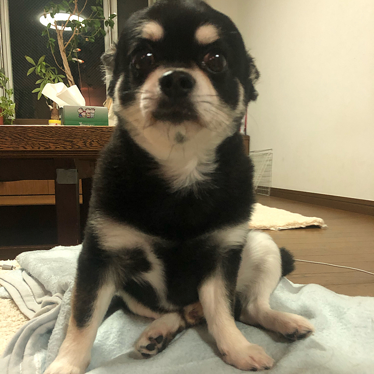 だらしない座り方してて笑った