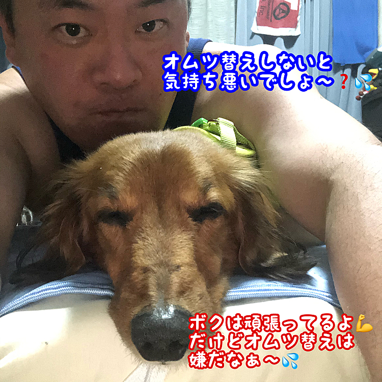 今日いつもの病院でいつにも増して褒められました✨✨✨だいぶ経過がいい方向に行ってる様で💡
ただお股のかぶれによるオムツ替えの噛み付きについては…「歩ける様になるのが一番手っ取り早い解決策です(๑•̀ㅂ•́)و✧」との事…いやそれが一番難しいし最終目標なんですけどね😅
でもそれが全ての事を解決してくれるのは分かってるんですけどね～💦💦💦