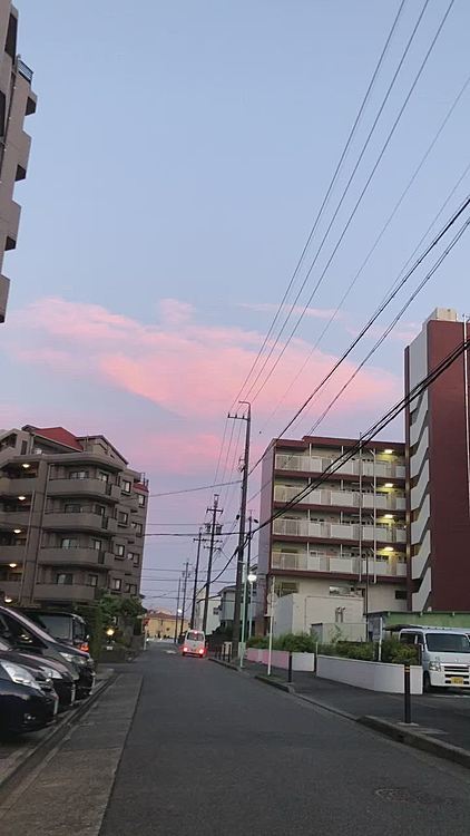 日が暮れる頃、ちぃねえちゃんと一緒にお散歩です🐾
カラッと乾いた空気に爽やかな風が少し肌寒く感じました🎐
ふと見上げると、綺麗な夕焼け空🌆
今日もピンク色の雲が見られました❣️
気持ちが良くてもっと歩きたいのか、あっち行きたい！こっち行きたい！と、わがままライト🐶💫
何度も立ち止まるので、ちぃねえちゃん困ってるよ〜😥
