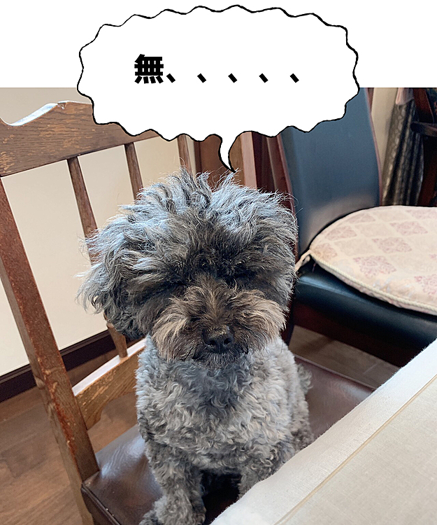 ママがおやつ食べ過ぎだからってくれないから無になったの。