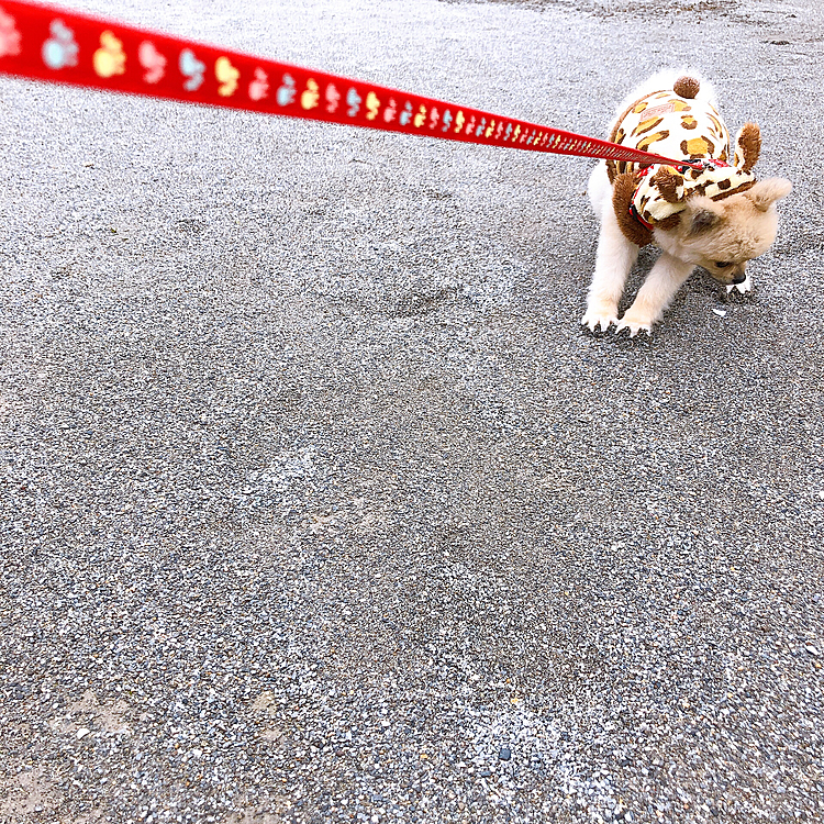 時には、まだ帰りたくないとだだをこねたり❤️笑