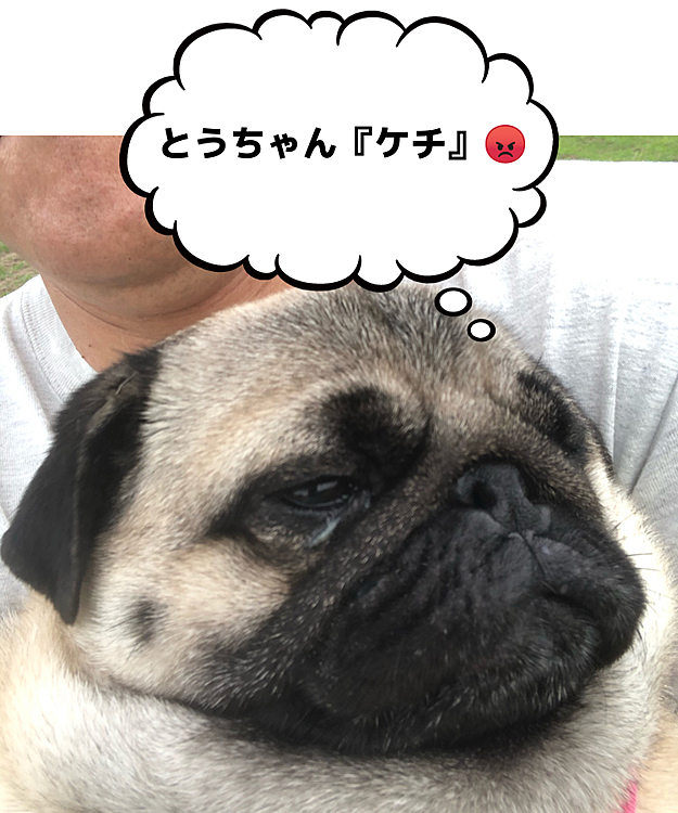 抱っこで『強制送還』です😆
