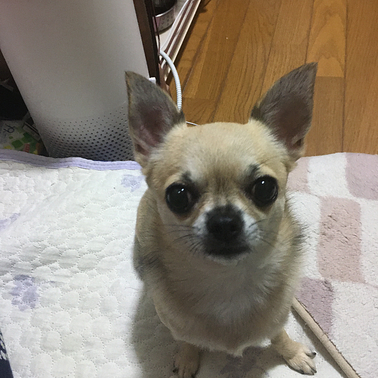 おはようございます😃
毎日、梅雨らしいお天気が続いていますね☔️　大雨の地域もあるようで大きな被害が出ない事願うしかないです。
