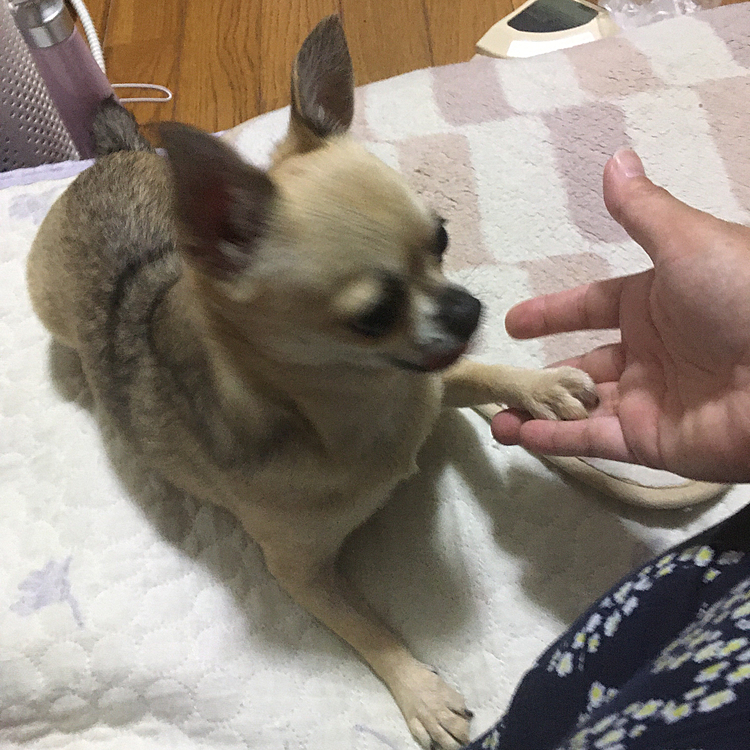 昨日は、とても残念な事があって😆
私がいつも聴いているFM局が停波してしまいました。
いつも職場へ行く朝　車の中で必ず聴いて、側にいてくれた大切な存在　朝の音、耳から入ってくる音って結構　私、重要なんです。今朝、ラジコをつけて　表示されないのが何だかさみしくて... 私の毎朝の始まりを支えてくれたパーソナリティの方々に感謝です。
　