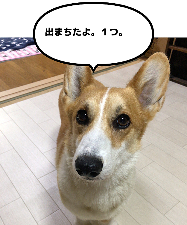 先程、💩から１つでました。よかった。
残り１つも後で出てくるかな。
出てきてくださいな。ってか、出してくださいな。まある。
